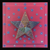 The Noth Star by Steven Zwirn