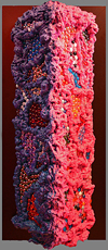 Blue and Pink tower